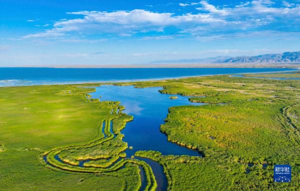 新华全媒+丨新疆:“三山两盆”孕育湿地之美
