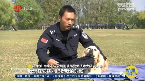 是庆生也是最后的告别！小虎，谢谢你来到这世界！