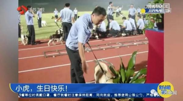 是庆生也是最后的告别！小虎，谢谢你来到这世界！