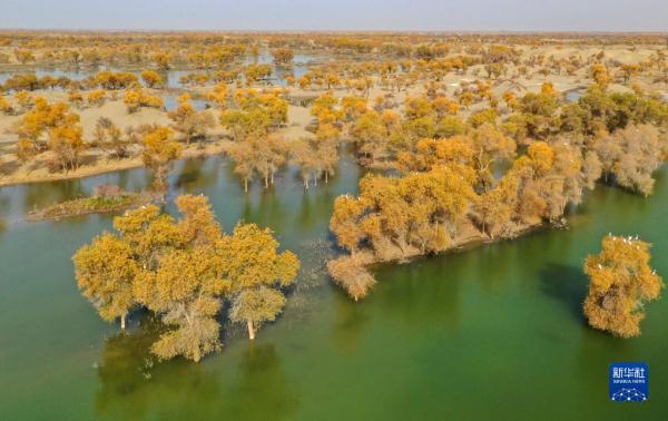 新华全媒+丨新疆:“三山两盆”孕育湿地之美