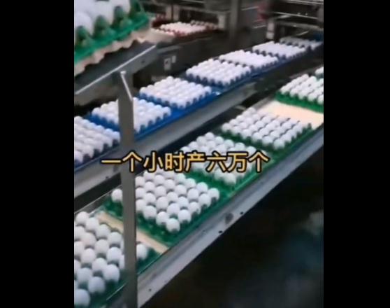 1小时产6万个,人造鸡蛋成本只要1角钱? 1小时产6万个,人造鸡蛋成本只要1角钱?