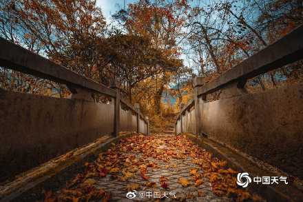 人间仙境 四川喇叭河美景引人入胜