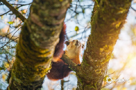 人间仙境 四川喇叭河美景引人入胜