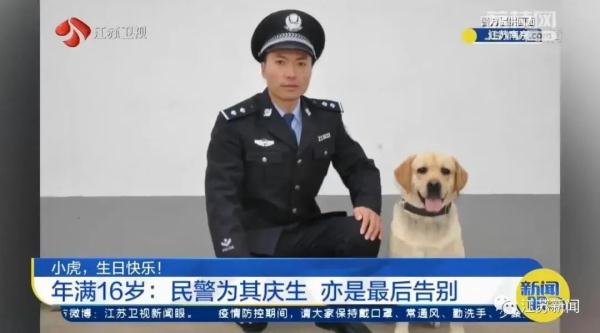 是庆生也是最后的告别！小虎，谢谢你来到这世界！