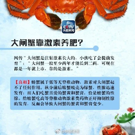吃蟹一次宜控制在2只内 别被这些螃蟹的谣言坑了！