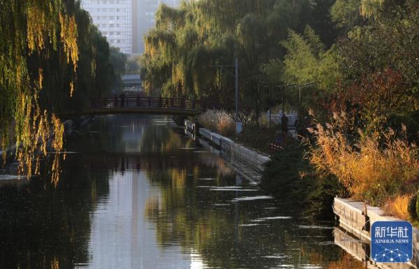 北京马拉松｜在秋色中一览北马路线