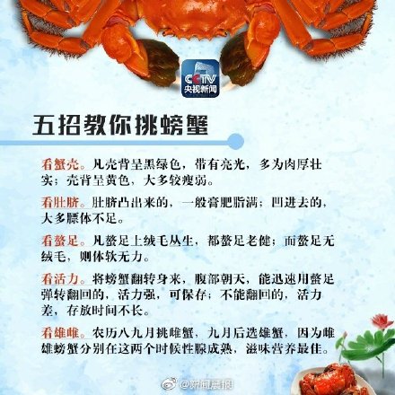 吃蟹一次宜控制在2只内 别被这些螃蟹的谣言坑了！