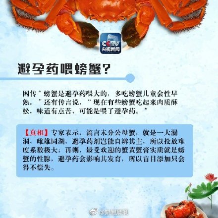 吃蟹一次宜控制在2只内 别被这些螃蟹的谣言坑了！