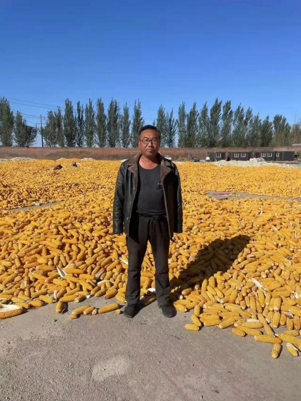 首次!农民也获评职称啦! 首次!农民也获评职称啦!