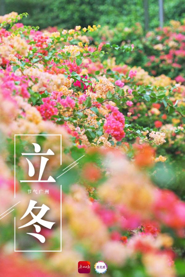 今日立冬，这些瞬间，温暖人心
