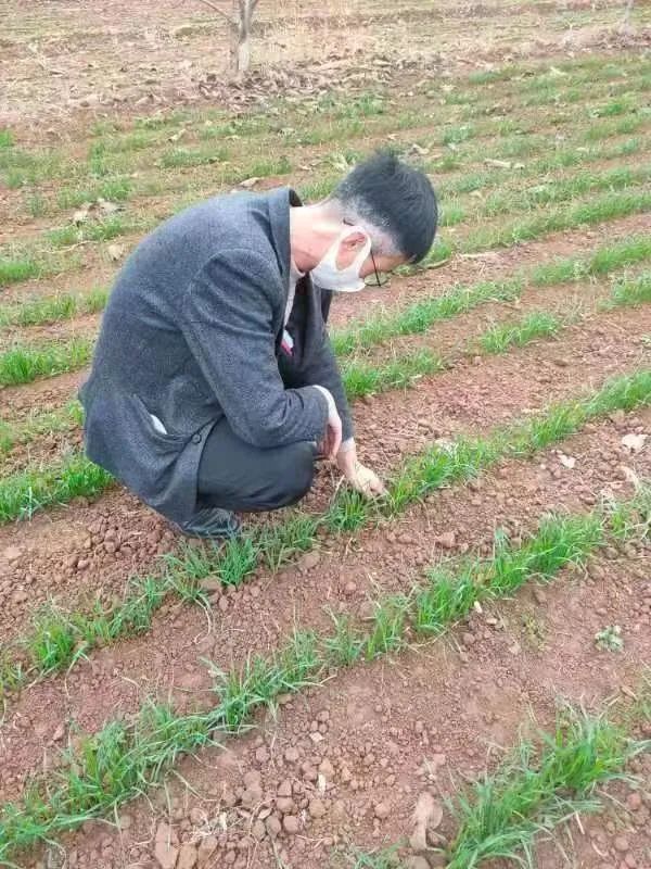 首次!农民也获评职称啦! 首次!农民也获评职称啦!