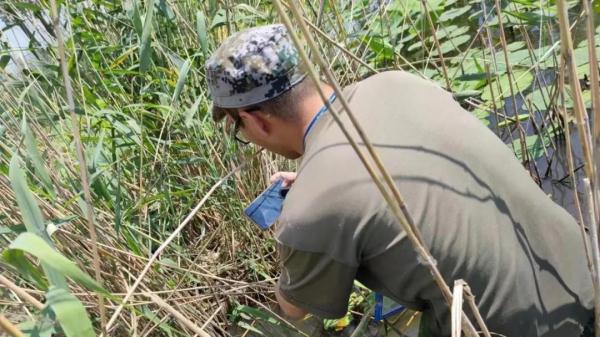 “保护做得好不好,鸟儿会用翅膀投票~” “保护做得好不好,鸟儿会用翅膀投票~”