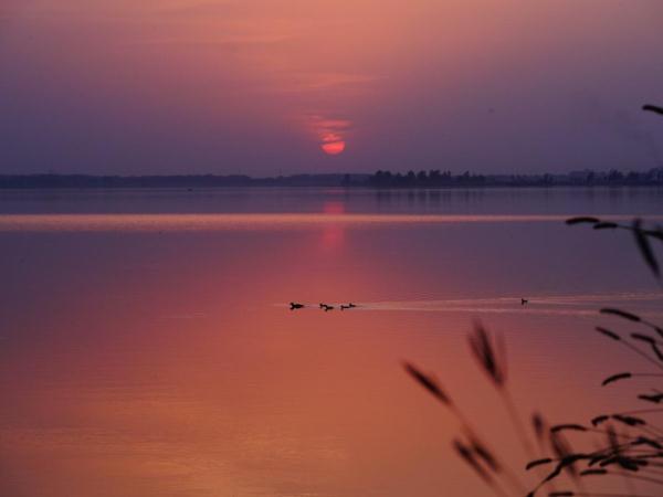 “保护做得好不好,鸟儿会用翅膀投票~” “保护做得好不好,鸟儿会用翅膀投票~”