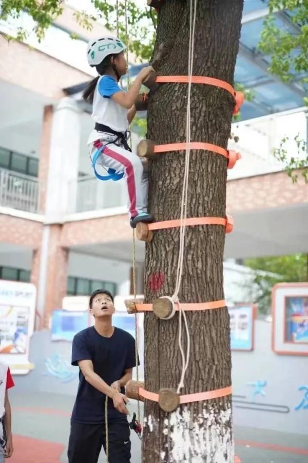 上课，爬树！杭州一所小学体育课，孩子们纷纷上树