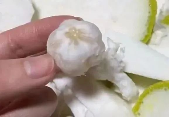 “9块9包邮”一时爽,收到快递才领悟:贪小便宜吃小亏,老板含泪血赚9块9 “9块9包邮”一时爽,收到快递才领悟:贪小便宜吃小亏,老板含泪血赚9块9