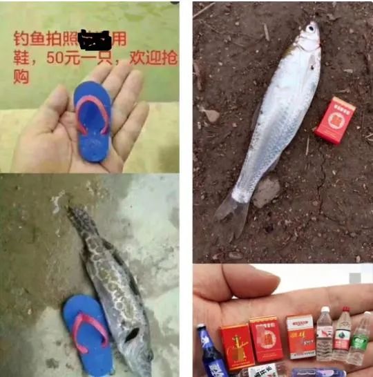 “9块9包邮”一时爽,收到快递才领悟:贪小便宜吃小亏,老板含泪血赚9块9 “9块9包邮”一时爽,收到快递才领悟:贪小便宜吃小亏,老板含泪血赚9块9