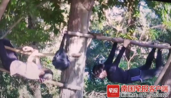 太危险！铁丝捆绑木材，老人在南宁一公园用自制“器材”健身