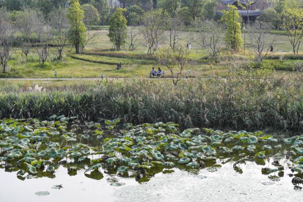 新华全媒+丨大美湿地城市丨重庆梁平