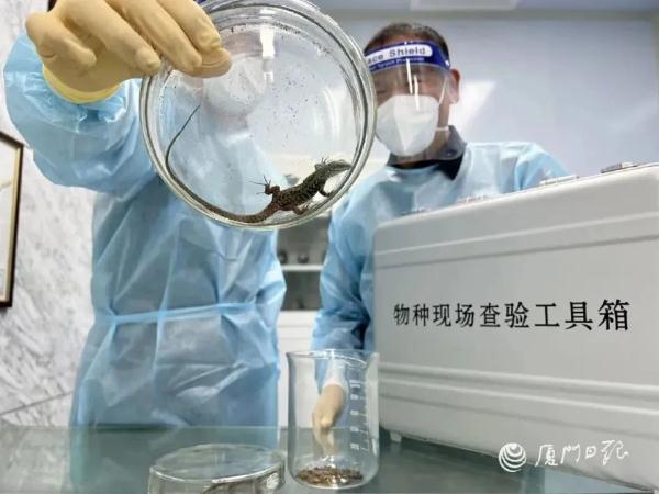 截获！毒性比响尾蛇强10倍