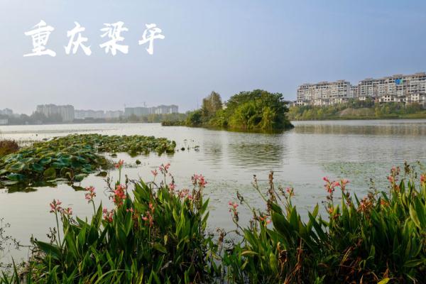 新华全媒+丨大美湿地城市丨重庆梁平