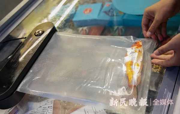 冻鱼可以复活？这个实验让你相信！