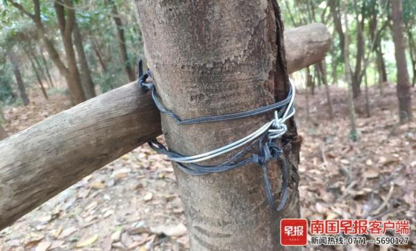 太危险！铁丝捆绑木材，老人在南宁一公园用自制“器材”健身