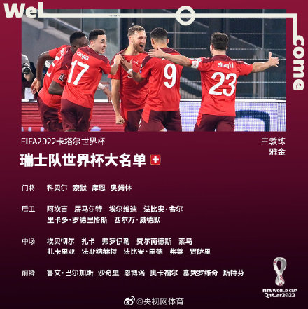 瑞士队世界杯大名单