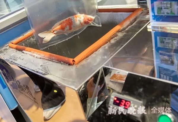 冻鱼可以复活？这个实验让你相信！