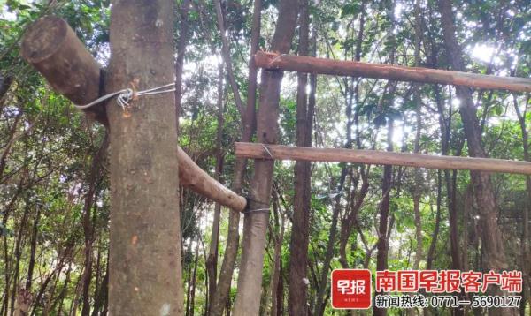 太危险！铁丝捆绑木材，老人在南宁一公园用自制“器材”健身