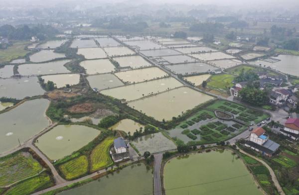 新华全媒+丨大美湿地城市丨重庆梁平
