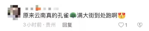 这回云南人真的解释不清楚了…… 这回云南人真的解释不清楚了……