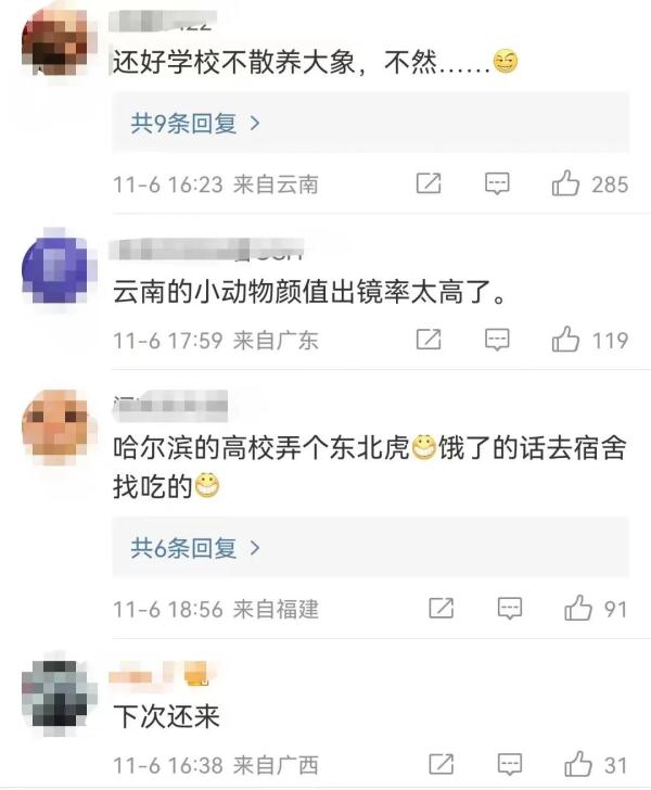 这回云南人真的解释不清楚了…… 这回云南人真的解释不清楚了……