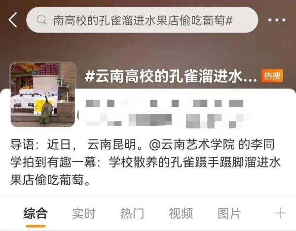 这回云南人真的解释不清楚了…… 这回云南人真的解释不清楚了……