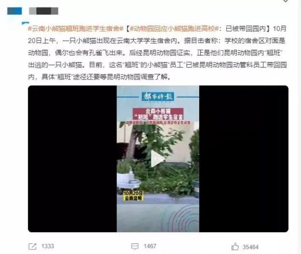 这回云南人真的解释不清楚了…… 这回云南人真的解释不清楚了……