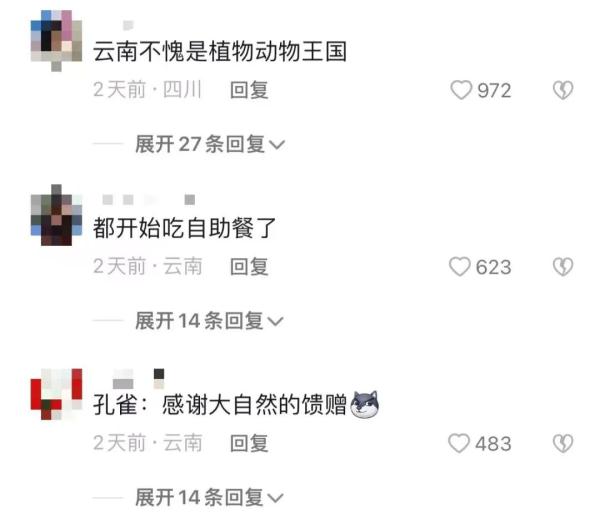 这回云南人真的解释不清楚了…… 这回云南人真的解释不清楚了……