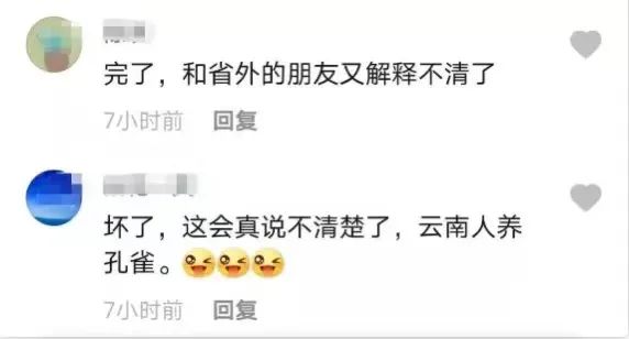这回云南人真的解释不清楚了…… 这回云南人真的解释不清楚了……
