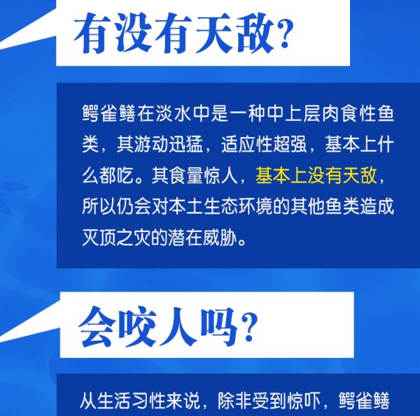 鳄雀鳝会泛滥成灾吗？中科院专家起底
