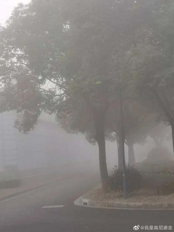 上海今早“云里雾里”，气温过山车又来了！进阶深秋，厚衣服准备起来...