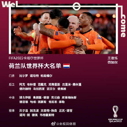 荷兰队公布世界杯大名单