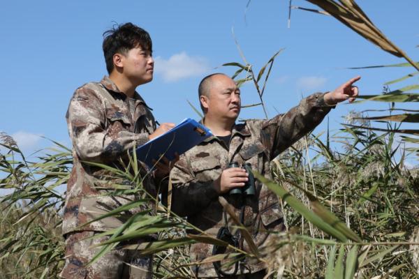 25年守护,这位“鹤爸”有了新愿望! 25年守护,这位“鹤爸”有了新愿望!