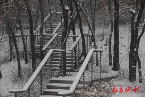 今天,长春这“雪景”赏心更暖心 今天,长春这“雪景”赏心更暖心