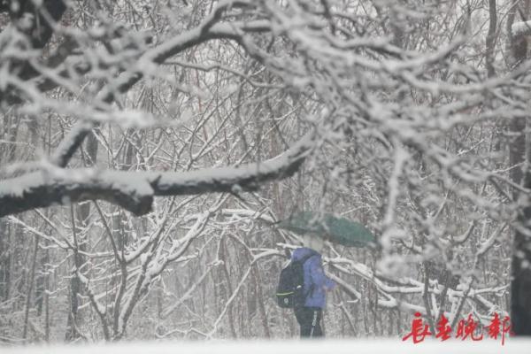 今天,长春这“雪景”赏心更暖心 今天,长春这“雪景”赏心更暖心