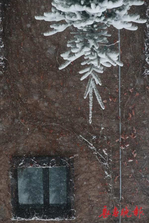 今天,长春这“雪景”赏心更暖心 今天,长春这“雪景”赏心更暖心