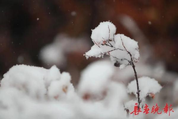 今天,长春这“雪景”赏心更暖心 今天,长春这“雪景”赏心更暖心