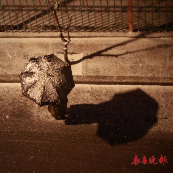 今天,长春这“雪景”赏心更暖心 今天,长春这“雪景”赏心更暖心