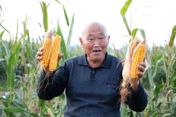 山东滨州：巧用“加减乘除”法　增收富民助力乡村振兴