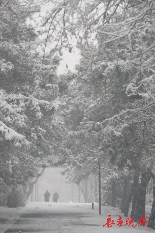 今天,长春这“雪景”赏心更暖心 今天,长春这“雪景”赏心更暖心