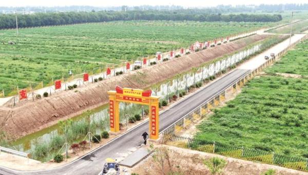 山东滨州：巧用“加减乘除”法　增收富民助力乡村振兴