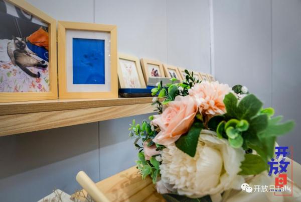 90后宠物殡葬师：每天直面死亡，我却不想“躺平”