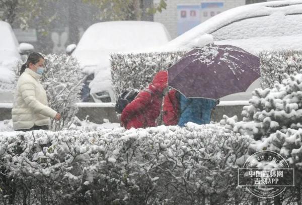 入冬第一场雪如约而至，解锁“初雪模式”